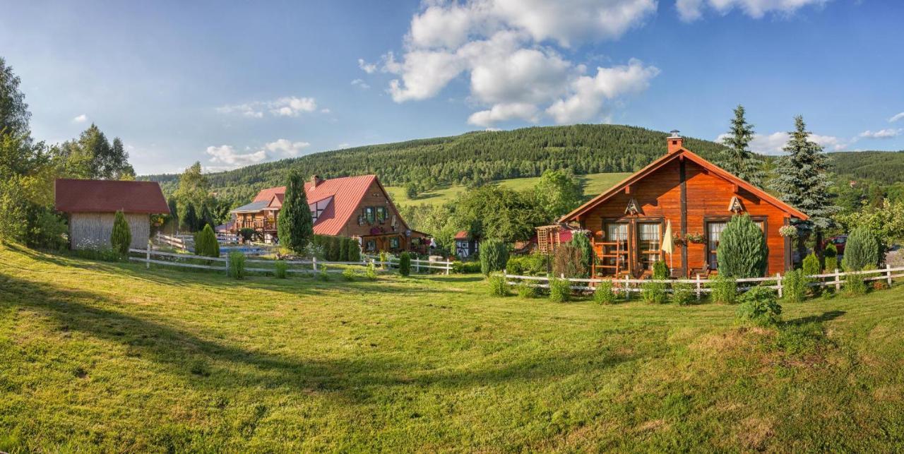 Ferienwohnung Gleboki Jar Świeradów-Zdrój Exterior foto