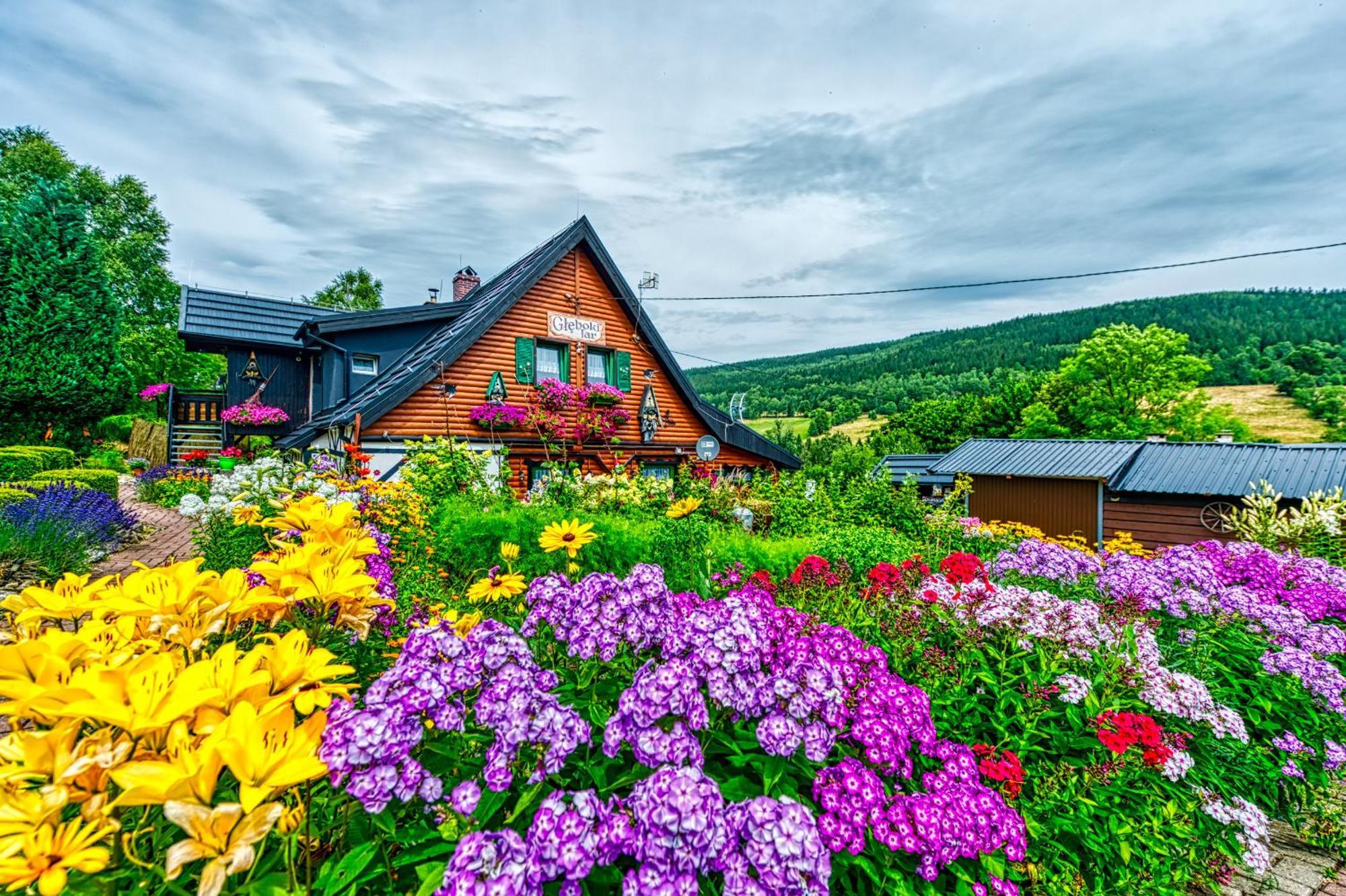 Ferienwohnung Gleboki Jar Świeradów-Zdrój Exterior foto